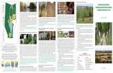Tablica 16. Zadrzewienia śródpolne Ośrodek aktywnej ...old.zpkww.pl/download/155.pdf · W Polsce stwierdzono około 4200 gatunków grzybów ... że wśród grzybów są gatunki