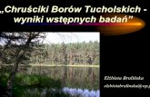 „Chruściki Borów Tucholskich - wyniki wstępnych badań · Park Narodowy „Bory Tucholskie” 9PN Bory Tucholskie utworzono 14 maja 1996 roku 9woj. pomorskie 9powierzchnia 4