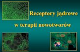 Receptory jądrowe w terapii nowotworówbiotka.mol.uj.edu.pl/zbm/handouts/2004_03_receptors.pdf · Fas, TNFα, IFNs). Podobny efekt daje zablokowanie PML, więc zahamowanieapoptozy
