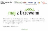 Szkolenie cz. II: Pielęgnacja drzew – co drzewom szkodzi ...miastodrzew.wroclaw.pl/wp-content/uploads/2018/06/prezentacja... · „Drzewa wysokie mają większą wartość współczynnika