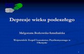 Małgorzata Borkowska Sztachańska - Strona Głównawzlpdsyy.cluster003.ovh.net/wzlp2k13/images/Files/depresja-kryzys... · •Nieracjonalne poczucie wyrzutów sumienia lub nadmiernej