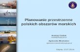 Plan zagospodarowania przestrzennego polskich obszarów ... · Szczególne cechy planowania przestrzennego na morzu Przestrzeń morska jest 4-wymiarowa (x,y,z,t). Struktura własnościowa