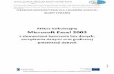 Arkusz kalkulacyjny Microsoft Excel 2003 - dsc.kprm.gov.pl · Projekt „Przeprowadzenie badania i analiza potrzeb szkoleniowych, opracowanie planu działań (strategii szkoleniowej)