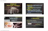 WYKŁAD #5 Elektryczność i Magnetyzm · dr in ż. S.Winiarski 5 17 Rodzaje prądu stosowanego w Elektroterapii #5. Elektryczno ść i Magnetyzm 1. PrPr ąd stały. Galwanizacja