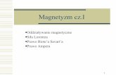Magnetyzm cz - malys.if.pw.edu.plmalys.if.pw.edu.pl/2010-w15-Magnetyzm-cz-I.pdf · 1 Magnetyzm cz.I Oddziaływanie magnetyczne Siła Lorentza Prawo Biote’a Savart’a Prawo Ampera