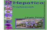 Buch-Script polnisch mit Bilder - alpine-peters.de · Występuje w kolorze białym i delikatnych ... jest wykorzystywana w medycynie naturalnej. Chiny: ... jasnofioletowa „Loddon