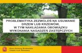 PROBLEMATYKA ZEZWOLEŃ NA USUWANIE DRZEW LUB …paluchmiejski.waw.pl/wp-content/uploads/2016/03/Zezwolen-na... · 3 Wydawanie zezwoleń na usunięcie drzew lub krzewów Zezwolenie