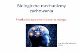 Biologiczne mechanizmy zachowania - zpf.psychologia.uj.edu.plzpf.psychologia.uj.edu.pl/biopsy/prezentacje/bmz1_cwicz03... · Biologiczne mechanizmy zachowania Przekaźnictwo chemiczne