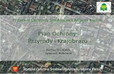 Plan Ochrony Przyrody i Krajobrazu - um.kielce.pl · Wymogi Polityki Ekologicznej Paostwa 2.7 Aspekt ekologiczny w planowaniu przestrzennym 3.1 Ochrona Przyrody 3.2 Ochrona i zrównoważony
