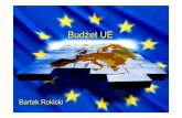Bud żet UE - coin.wne.uw.edu.plcoin.wne.uw.edu.pl/~sledziewska/wyklady/wp/budzet.pdf · Tradycyjne środki w łasne (TOR) 10 Wp ływy z VAT i p łatno ści oparte na DNB BartekRokicki,