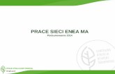PRACE SIECI ENEA MA · Programowanie w UE* slajd na podstawie prezentacji KE 33,5 17,0 3,5 7,7 1,1 6,2 11,0 2,9 ... różnorodność biologiczną (tylko jeden kod interwencji: 51-