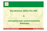 2007-05-31 04 PGKSystem - Przemys Baw Kowalski -Dyrektywa ... · Alternatywne Źródła Energii  1. Wymagania Dyrektywy 2. Biomasa jako źródło energii