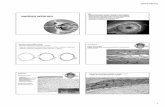 oko ucho [tryb zgodności] - Katedra Histologii CM UJ · 2016-06-02 1 NARZĄD WZROKU Oko można porównać do kamery cyfrowej, wyposażonej w: •system soczewek (rogówka, soczewka,