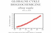 GLOBALNE CYKLE BIOGEOCHEMICZNE - kfs.ftj.agh.edu.plkfs.ftj.agh.edu.pl/~wachniew/GBC_10_wegiel.pdfZnaczenie cyklu węglowego dla biosfery Cykl węglowy i powiązany z nim cykl tlenowy