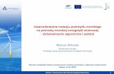 Uwarunkowania rozwoju przemysłu morskiego na potrzeby ... · Morska energetyka wiatrowa w Europie Rola państwa w rozwoju przemysłu morskiego dla MFW. w w w . p t m e w . p l