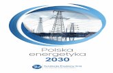 Spis treści 3 - przyjaznykraj.plprzyjaznykraj.pl/.../2018/06/Raport_FPK_Polska_Energetyka_2030.pdf · Schyłkowa rola węgla, ... przed jakimi stoi energetyka to dobra okazja do