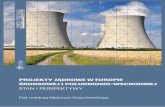 Projekty jądrowe w e uroPie Środkowej i Południowo- wschodniej · Rola elektrowni jądrowych w Czechach i plany ich rozwoju /14 ... Energetyka jądrowa nie jest jednak waż- ...