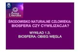 ŚRODOWISKO NATURALNE CZŁOWIEKA - eko.uj.edu.pleko.uj.edu.pl/weiner/kursy/ArtlibUW/ArtlibUW_1_3.pdf · BIOSFERA CZY CYWILIZACJA? WYKŁAD 1.3. BIOSFERA: OBIEG W ĘGLA. POJ ... kg