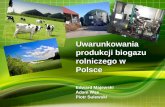 Uwarunkowania produkcji biogazu rolniczego w Polsce · Ilość wytworzonego zainstalowanych mocy biogazu rolniczego [w mln m3] Wykorzystanie na poziomie 59% 810 16 2830 42 58 78 0