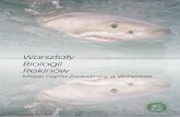 Warsztaty Biologii Rekinów - OCEANUS - AKWARYSTYKA …oceanus.net.pl/download/1480684027.pdf · Warsztaty Biologii Rekinów 2011/2012 ... KONFERENCJA – BIOLOGIA REKINÓW ... swoje