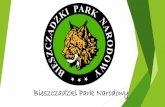 Bieszczadzki Park Narodowy - sp2.kwidzyn.pl · Wstęp Bieszczadzki Park Narodowy został utworzony w 1973r na terenie Polskiej części Karpat Wschodnich. Obejmuje obszar 29202 hektarów.