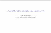 Anna Stankiewicz e-mail: astankiewicz@L5.pk.eduawosatko/UPMMKBII/char01IIst.pdf · Literatura – prace L-5 [6] M. Radwańska, E. Pabisek. Zastosowanie systemu metody elementów skończonych