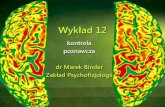Zakład Psychofizjologii - zpf.psychologia.uj.edu.plzpf.psychologia.uj.edu.pl/biopsy/prezentacje/bmz1_wyk11.pdf · •test Wieży Londyńskiej •uszkodzenia lewego DLPFC prowadzą
