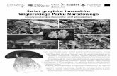 Świat grzybów i mszaków Wigierskiego Parku Narodowegoczlowiekiprzyroda.eu/wp-content/uploads/2017/07/67.pdf · Wigierski Park Narodowy został utworzony 1 stycznia 1989 r. Powierzchnia