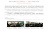 BEZPIECZNA SZKOŁA – BEZPIECZNY SPRAWOZDANIEzso2.info/wp-content/uploads/2012/11/Bezpieczna-Szkoła-Bezpieczny... · Prezentacja multimedialna na temat kibicowania przygotowana