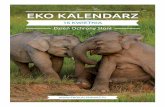Pakiet edukacyjny - Dzień Ochrony Słoni„-Ochrony-Słoni.pdf ·  ... że sto lat temu populacja ... i handel kością słoniową jest na najwyższym poziomie od ...