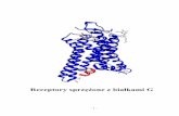 Receptory sprzężone z białkami G - bioexploratorium.pl · W strukturze receptorów GPCR należących do rodziny A, występują dobrze zachowane motywy sekwencyjne określane mianem