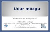 Udar mózgu - Śląska Izba Lekarska mater.pdf · 72-86% udarów ma charakter niedokrwienny, natomiast krwotoki śródmózgowe (+podpajęczynówkowe) stanowią 9-18% udarów. Na świecie