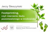 Wykorzystanie wskaźnika śladu węglowego do oceny ...bialystok.stat.gov.pl/gfx/bialystok/userfiles/_public/seminaria_i... · produkcji i konsumpcji •Po doświadczeniach z obszarami