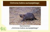 Ochrona bobra europejskiego - srokowo.olsztyn.lasy.gov.pl · Dyrektywa Siedliskowa (Dyrektywa 92/43/EWG w sprawie ochrony siedlisk naturalnych oraz dzikiej fauny i flory) –Załącznik