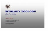 Zoologia 01 2008 - paleo.pan.pl · popularne pojmowanie zwierzat: organizmy cudzoŽywne zdolne do ruchu ... bylyby wówczas wszystkie wiciowce bez chloroplastów ale chloroplasty