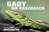 GADY - Kaszubi.pl · GADY NA KASZUBACH – to też nasze bogactwo DARMOWY DODATEK DO MIESIĘCZNIKA "POMERANIA" Spis treści 1. ... to jedyny gatunek żółwia żyjący w Polsce w