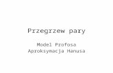 Przegrzew pary - Wydział Mechaniczno-Energetycznyfluid.itcmp.pwr.wroc.pl/~zaik/Dydaktyka/Automatyzacja w... · PPT file · Web view2006-10-12 · Przegrzew pary Model Profosa Aproksymacja