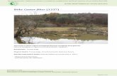 Bóbr Castor fiber (1337) - siedliska.gios.gov.plsiedliska.gios.gov.pl/images/pliki_pdf/wyniki/2013-2014/dla... · - Magurski Park Narodowy, - Park Narodowy Gór Stołowych. ... regionie