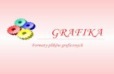 GRAFIKA - mariamalycha.pl · • Format zapisu plików graficznych opracowany na początku lat 80, gdy w użyciu były jeszcze karty graficzne CGA i ... formatów JPG i PNG. • Używa
