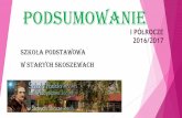 Prezentacja programu PowerPoint - wikom.pl · 2016/2017 szkoŁa podstawowa w starych skoszewach. klasyfikacja