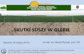 SKUTKI SUSZY W GLEBIE - agromax-konferencje.plagromax-konferencje.pl/wp-content/uploads/2019/02/006_Susza_M... · Wydział Inżynierii Środowiska i Geodezji, Katedra Melioracji i