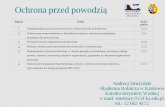 Ochrona przed powodzią - (KIWiG) Katedra Inżynierii ...kiw.ur.krakow.pl/~loczek/konspekty/5-ochr_pp/wyklady/wyklad-1.pdf · Wydział : Inżynierii Środowiska i Geodezji Kierunek