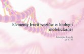 Elementy teorii węzłów w biologii molekularnejmaciej.zakarczemny.pl/wp-content/uploads/2015/09/17_Elementy... · U bakterii, zwłaszcza tych szybko się dzielących, procesy te
