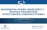 NARZĘDZIA OCENY WARTOŚCI I RYZYKA PROJEKTÓW · 2017-12-12 · efektywności energetycznej i analizowania ryzyka. ... właścicielami projektów i instytucjami finansowymi. ...