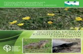 OCHRONA MURAW KSEROTERMICZNYCH I TORFOWISKlublin.rdos.gov.pl/files/artykuly/14273/Ochrona_siedlisk... · Ochrona siedlisk przyrodniczych OROWSK i gatunków na obszarach sieci ...