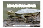 Pakiet edukacyjny - Światowy Dzień Żółwia · Żółw błotny kontra żółw czerwonolicy ... to m.in. fizyczna ochrona miejsc składania jaj, sztuczny wylęg (jaja trafiają