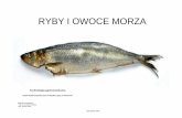 RYBY I OWOCE MORZA - mamz.plmamz.pl/almanach/skrypty/pokazy/ryby.pdf · Tłuszcze ryb Tłuszcze ryb mają nisk ą temperatur ę topnienia i wysok ą przyswajalno ść, która wynosi