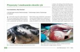 Przyczyny i zwalczanie chorób ryb naryjnej UP w Lublinie, ul ... 2011_09 05.pdf · a chorobotwórczym organizmem jest stres przekraczający możliwości adaptacyjne or - ganizmu