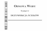 OW 12 dezynfekcja - Institute of Oceanology Polish Academy ...water.iopan.gda.pl/~pempa/OW12dezynfekcja.pdf · — wiatło słoneczne — zasolenie — współzawodnictwo — temperatura