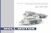 MOLL-MOTORmollmotor.pl/files/20150302_YHE-Katalog_Web.pdf · CEI 8-8 IEC 60038 ... Norma ta wprowadza nowy podział klas energetycznych dla silników ... PN IEC 60072-1 oraz CEI-UNEL